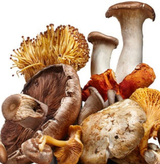 HYDRATING SERUM WITH BETA GLUCAN